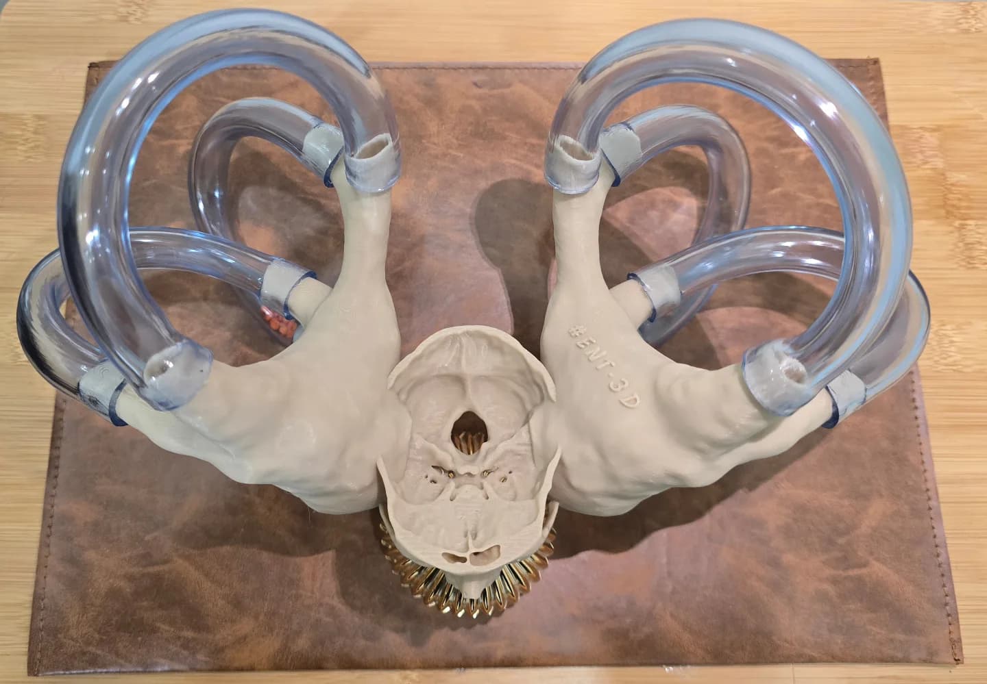 Double BPPV Premium