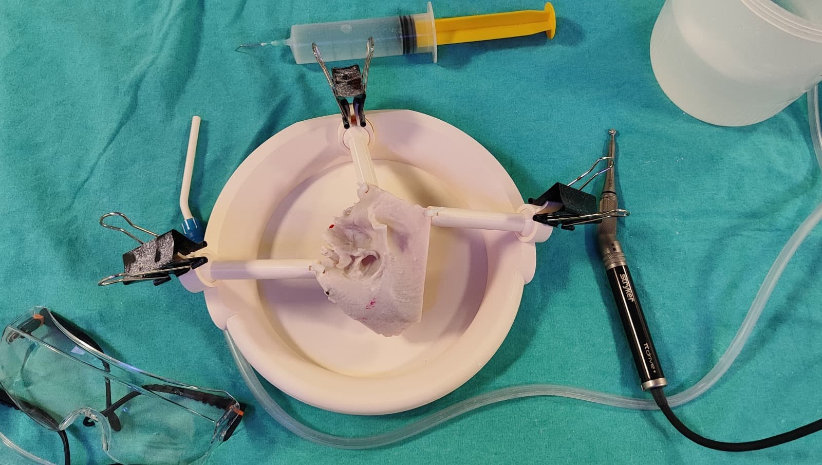 Temporal bone model with its holder plate